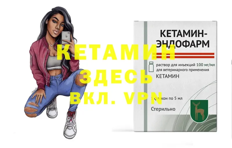 купить наркотики цена  Ковылкино  hydra ССЫЛКА  Кетамин VHQ 